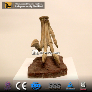 Dinosaurio Educativo My Dino DS055, Fósil de Dinosaurio Prehistórico, Modelo de Esqueleto de Velociraptor con Garras, en Venta - Product Image 6