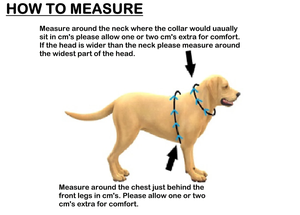 ملابس صيفية لطيفة وصديقة للبيئة للكلاب من Qiqu، بدلة زفاف قطنية مع ربطة عنق للكلاب من نوع الشيبير وهونداي والويتن - Product Image 6