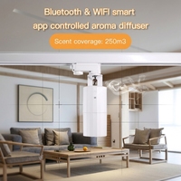 Nouvelles innovations d'air d'aromathérapie petit design appareil ménager diffuseur d'huile d'arôme de brumisation fraîche avec contrôle Tuya