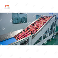 Fruit optische inspectie, citroenkleur sortering, sortering op basis van visuele detectie, oppervlaktecontrole van citroendefecten, sorteermachine