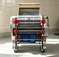 Machine à pâtes verticale domestique pour la préparation de nouilles fraîches