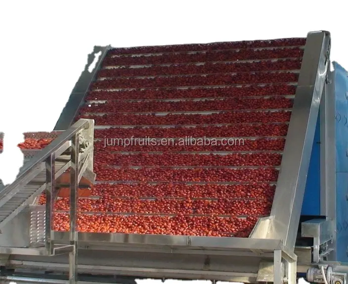 Factory Direct Sales High Efficient Dates Syrup Production Line Jujube Syrup Making Machine Price Negotiable