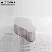 WISEMAX FURNITURE Table centrale industrielle au design unique base en acier inoxydable table basse irrégulière en métal pour le salon