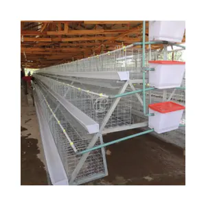 Design semplice di un telaio A strati di pollo uovo gabbie 120 capacità 96 capacità per polli
