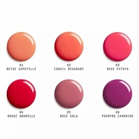 Maquillage brillant à lèvres liquide rouge à lèvres SPF 30 longue durée imperméable hydratant repulpant brillant à lèvres maquillage mat brillant à lèvres ensemble