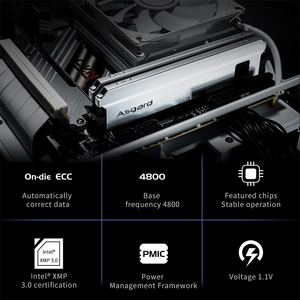 Asgard-memoria <span class=keywords><strong>RAM</strong></span> DDR5 para ordenador de escritorio, 16GB(8Gx2), 4800MHz, Freyr series, XMP 3,0, ddr5 - Product Image 6
