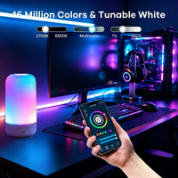 Lampe d'ambiance LED tactile colorée Tuya Wifi pour contrôle via Alexa Google App et veilleuse créative pour chambre à coucher
