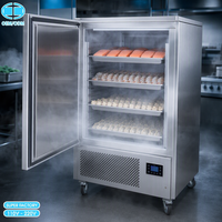 Congélateur rapide commercial OEM à 4 plateaux, porte simple, insert de plateau -45°C ° C Ultra Basse Température Sans Givre pour les Raviolis, les Fruits de Mer et la Pâtisserie