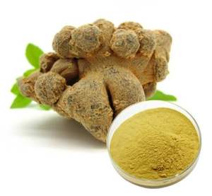 Bubuk Ekstrak Herbal Alami <span class=keywords><strong>Notoginseng</strong></span> dari Huakang Supply Health Food - Product Image 2