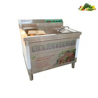 Groentewasmachine Groentebellenwasser Ozon Chili-wasmachine