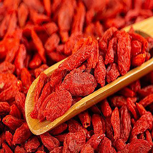 Baies de Goji <span class=keywords><strong>Rouges</strong></span> Séchées Chinoises en Gros, Baies de Lycium Ningxia Naturelles, <span class=keywords><strong>Fruits</strong></span> <span class=keywords><strong>Séchés</strong></span> pour la Santé, Meilleur Prix - Product Image 5