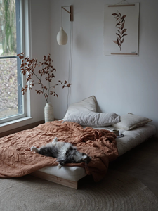 Tendance 2026 : Cadre de <span class=keywords><strong>lit</strong></span> <span class=keywords><strong>en</strong></span> bois personnalisé, simple, écologique et durable pour <span class=keywords><strong>studio</strong></span> et loft – Vente <span class=keywords><strong>en</strong></span> gros - Product Image 6