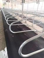 Logement de cabine d'équipement de vache laitière matelas en caoutchouc mousse de Latex de 30mm pour vache buffle taureau bovin chèvre cheval