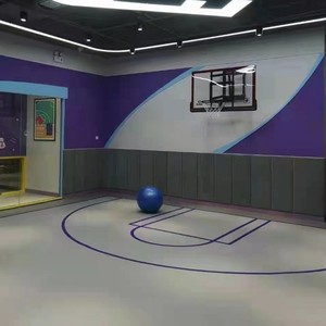 Aro de baloncesto de acero para montar en la pared, altura ajustable, para entrenamiento en interiores y uso infantil. - Product Image 1