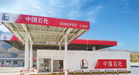 Estación de Carga de GNL de 100KW 220V AC, Montada en Suelo, Marca Langrun, con Sistema SCADA para Flotas