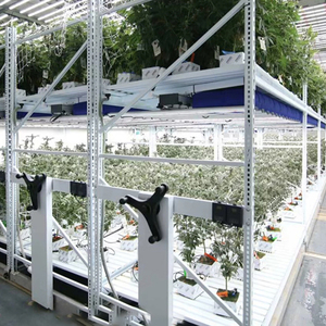 Bancs roulants verticaux hydroponiques, légumes, fruits et fleurs - Product Image 4