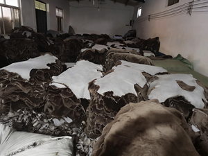 Forros de piel de oveja australiana para calzado de seguridad, color <span class=keywords><strong>nutria</strong></span> personalizado, piel de oveja lisa - Product Image 5