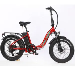 20" 48V Folding Electric Bicycle for lady (FP-EB22022)