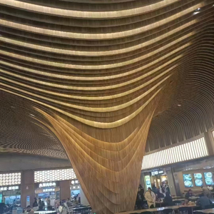 Mur-rideau en tube carré d'aluminium structurel pour bâtiment résidentiel moderne - Product Image 2