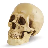 Mode maison résine tête de crâne Halloween crâne créatif atmosphère décorations
