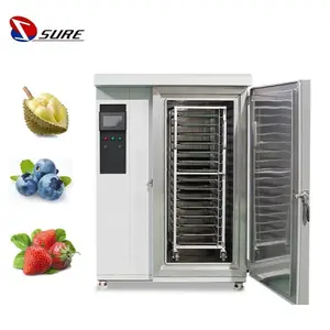 IQF Plate Blast Freezer Machine Cabinet Type Quick Freezing Machine Blast Freezer for Frozen Durian