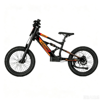 Bicicleta Eléctrica Infantil de 20 Pulgadas, 48V, 6.0AH, 1000W, Diseño sin Escobillas, Sensor Inteligente, Aleación de Aluminio y Litio, para Exteriores
