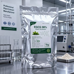 Approvisionnement d'usine EGCG 98% en poudre CAS 989-51-5 Épigallocatéchine gallate Extrait de thé vert Haute pureté Qualité alimentaire - Product Image 3