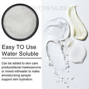 Nhà Máy giá bán buôn sodium hyaluronate hyaluronic axit HA bột hyaluronic axit bột - Product Image 3