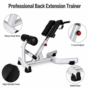 Chaise romaine de qualité professionnelle, banc d'hyperextension, structure stable pour salle de sport et centre de fitness - Product Image 5