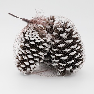 Lớn Màu Trắng Trang Trí Tự Nhiên Nón Thông Với Chuỗi Net Túi - Product Image 3