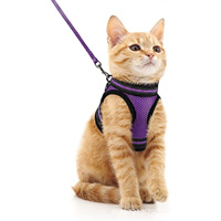 Harness & Tali Kucing Bahan Nylon Mewah, Ringan, Bernapas, Anti Lepas, Dapat Disesuaikan, untuk Anak Kucing