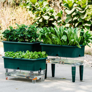 P442 Bac de culture rectangulaire amélioré pour balcon, en plastique épaissi et durable, auto-arrosant, spécialisé pour la culture de légumes - Product Image 1