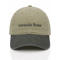 Casquette de baseball bicolore personnalisée brodée par le fabricant, en sergé de coton non structuré, style Dad Hat pour hommes
