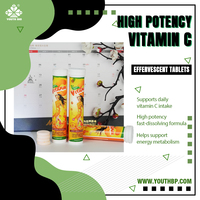 Vitamine C Effervescente Superaliment Végétal Harmonie Intérieure pour Familles Service OEM ODM Prêt à Expédier Vrac Tube de 20 Comprimés