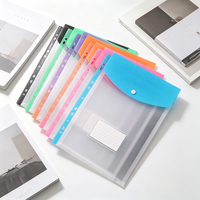 Porte-documents extensible transparent en PP A4, pochettes pour agrafes, classeurs à 11 trous, bouton-pression, poche pour étiquettes, imperméable