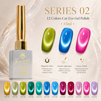Yunzuan 15ml UV LED Soak Off Cat Eye Gel Polish Dreamy Glitter Magnetic Nail Gel 12 Couleurs OEM ODM