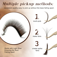 Extensions de cils en gros, couleur marron camélia, plusieurs longueurs B C D LB LC M, volume, Easy Fans, fournitures pour cils