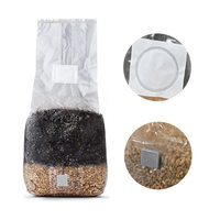 Bolsas de Cultivo de Hongos Autoclavables con Fuelle y Filtro de PP, con Puerto de Inyección y Autocuración