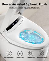 WC intelligent entièrement automatique avec siège chauffant, télécommande et double chasse d'eau, norme européenne IPX4, pour hôtel
