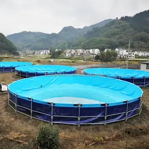 China Factory Custom Indoor Outdoor Tilapia Farming Tank Largest Fish Pond