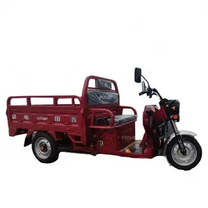 Cheap Sanitation Tricycle Sale Abidjan Adult Electric Pedicab