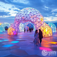 Installations lumineuses d'arches florales imperméables pour parcs à thème, festivals de lumière commerciaux, lanternes de festival personnalisées