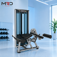Machine combinée d'extension et de flexion des jambes, réglable, en acier, pour la musculation des jambes en salle de sport