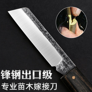 Cuchillo de injerto plegable Kyushu Garden con mango rojo y hoja de acero para poda de árboles frutales - Product Image 2