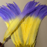 Grossiste 70-75 cm Plumes de queue de faisan argentées bicolores accessoires de danse carnaval décoration coiffe sac à dos