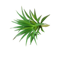 Huaien Mini artificielle verte plante succulente bonsaï en plastique pour bricolage décoration de la maison ornement décoration de bureau ornement