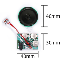 Modul Rekam Ulang 60 Detik Kosong oleh Audio Line dari Komputer/Ponsel untuk Kartu Suara DIY Kustom, Pemutar Suara, Studio File Suara