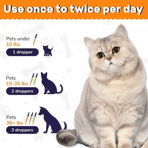 <strong>Processing</strong> Cross-border Pet Glucosamine Drops Intestinal <strong>Digestion</strong> Health Safe for Cats Dogs 3-Year Shelf Life OEM Private Label - Product Image 3