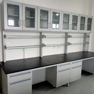 ארון תליית מעבדה עבור חנות מעבדה מעל קיר מותקן ארון פלדה של עמידות בפני קורוזיה וחסין מים - Product Image 4