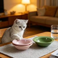 Shamitao Bol pour chat en céramique écologique en boîte individuelle élégant et portable pour petits et moyens animaux de compagnie